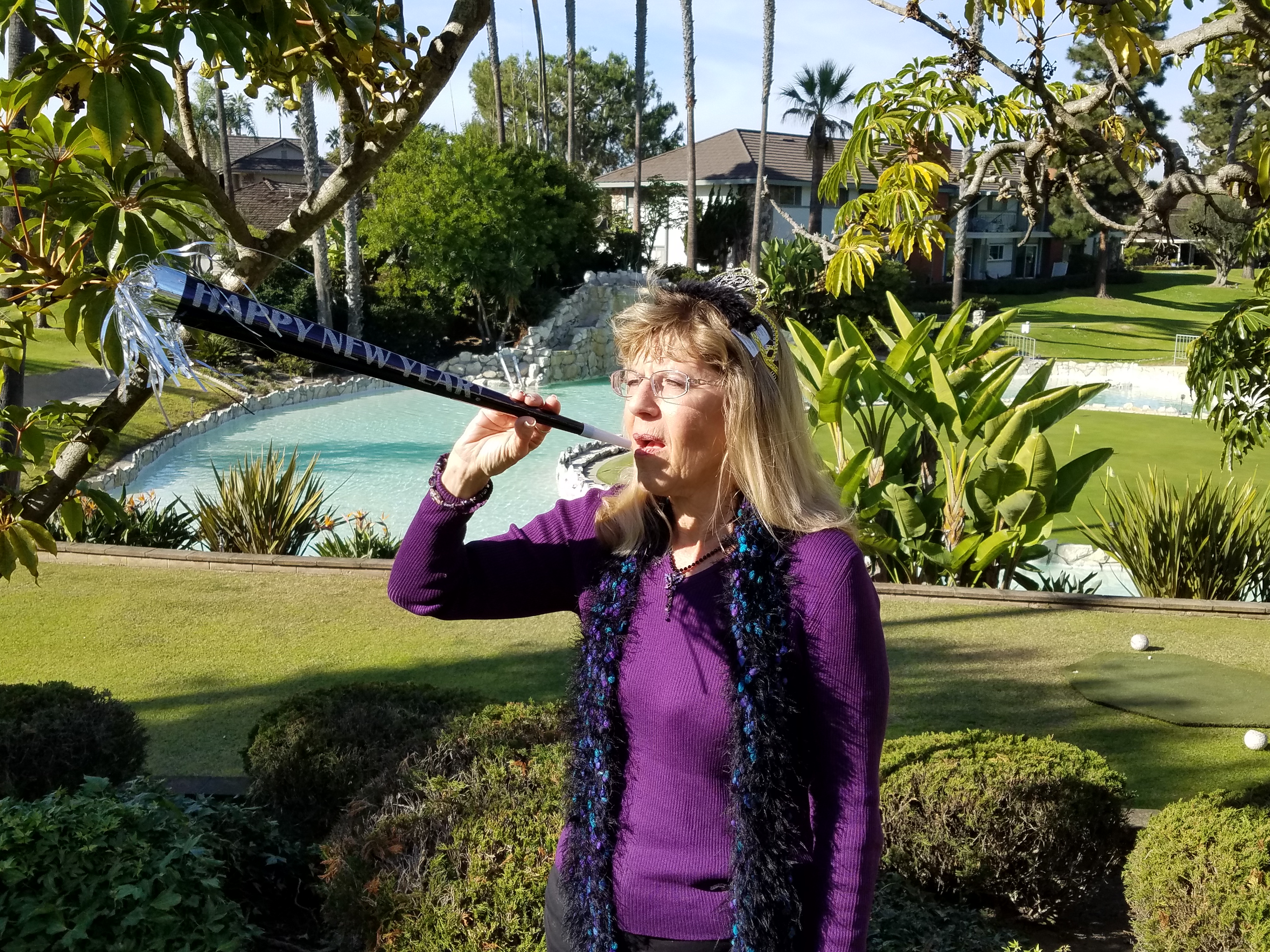 Carol’s 2018 Happy New Year Message