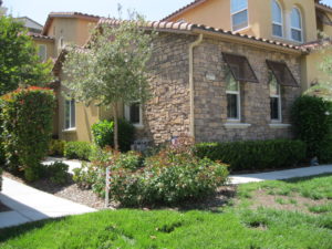 233771 Los Pinos Ct #35 Corona