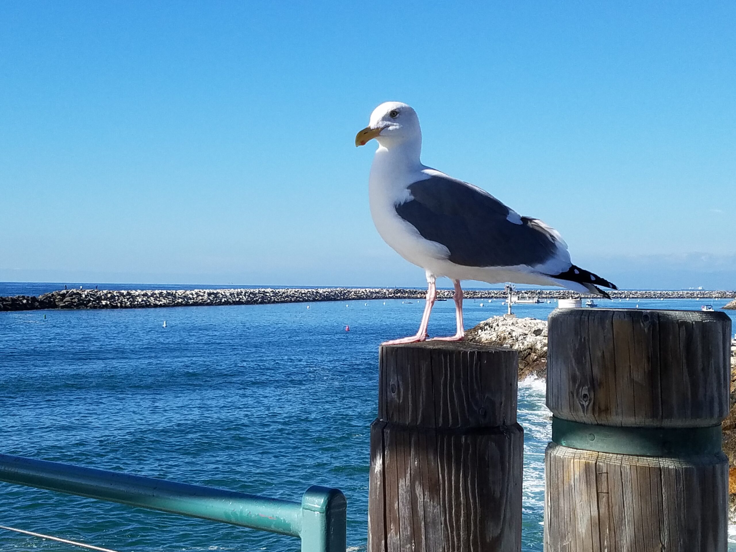 Market Stats for Redondo Beach 90277 – June 2021