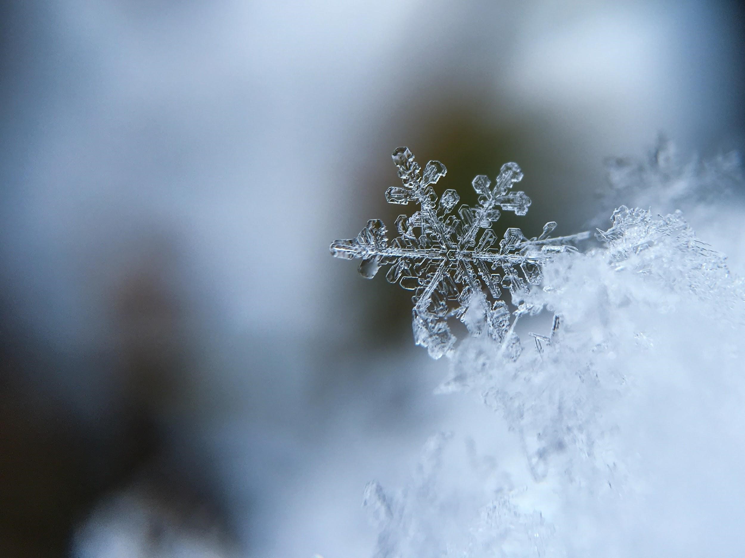 Ways to Sell Your Home this Holiday Season
